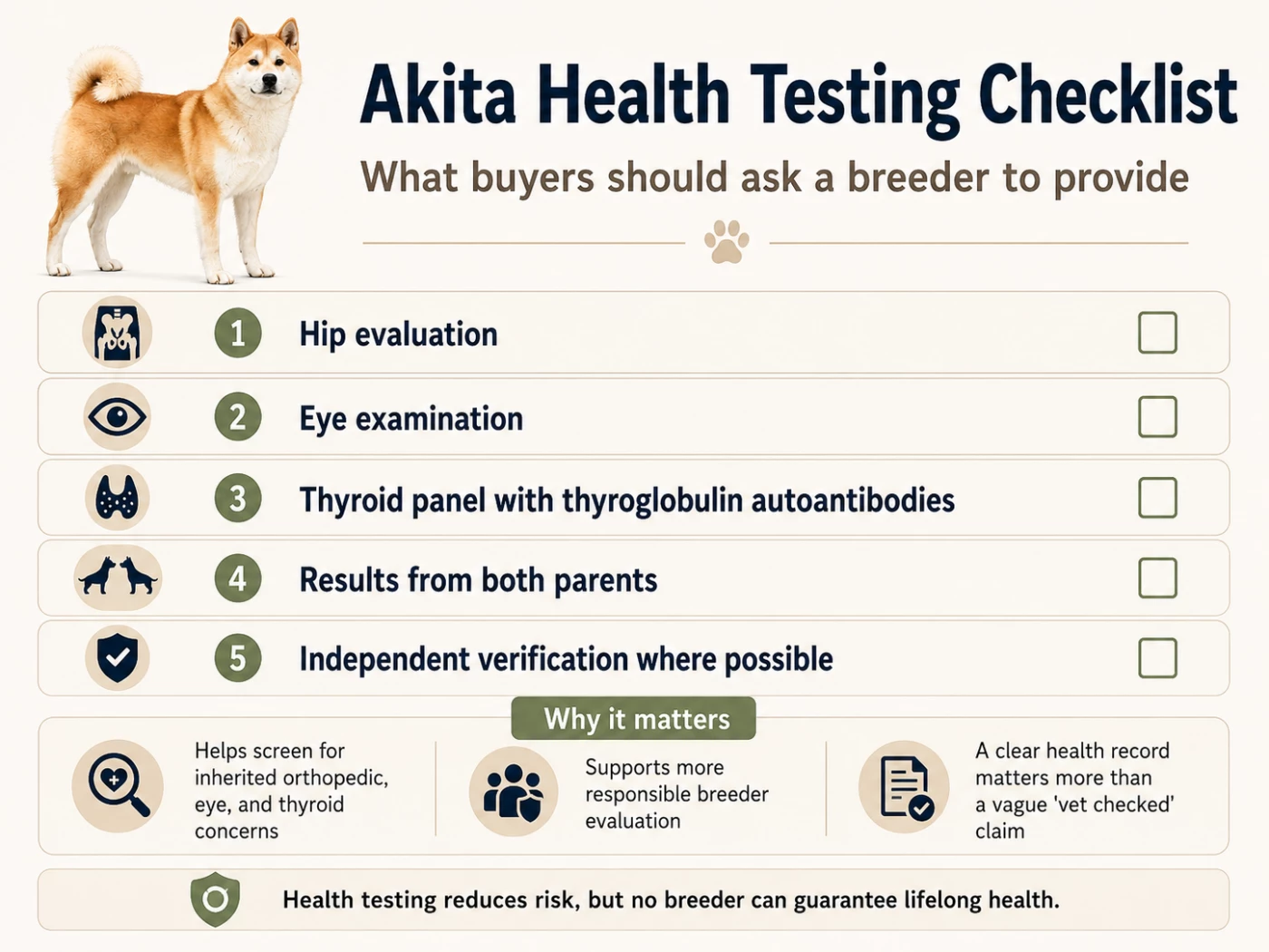Akita breeder health testing checklist for hips, eyes, thyroid, and additional screenings