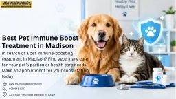 Best Pet Immune Boost Treatment in Madison | Get Care  puppies for sale