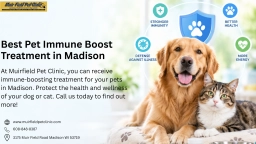 Pet Immune Boost Treatment in Madison puppies for sale