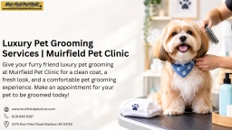 Luxury Pet Grooming Services | Muirfield Pet Clinic