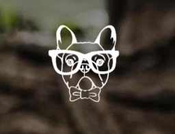 Tina Frenchies  puppies for sale