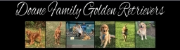 James & Tracey Doane  puppies for sale