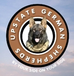 Upstate German Shepherds  puppies for sale