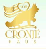 Vom Cronjehaus  puppies for sale