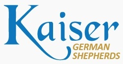 Kaiser German Shepherds  puppies for sale