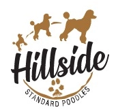 Hillside Standard Poodles  puppies for sale