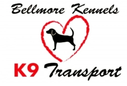 Bellmore Kennels  puppies for sale