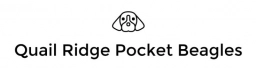 Quail Ridge Pocket Beagles  puppies for sale