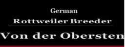 Von Der Obersten Rottweilers  puppies for sale