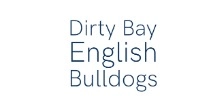 The Dirty Bay English Bulldogs  puppies for sale