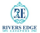 Rivers Edge Cavapoos  puppies for sale