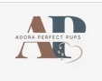 Adora Perfect Pups  puppies for sale