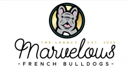 Marvelous French Bulldogs  puppies for sale