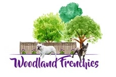 Woodland Frenchies  puppies for sale