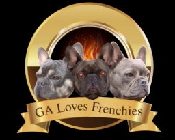 GA Loves Frenchies  puppies for sale