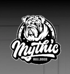 My This Bulldogs  puppies for sale