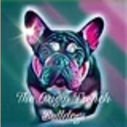 The Origin French Bulldogs  puppies for sale