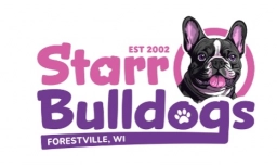 Starr Bulldogs  puppies for sale