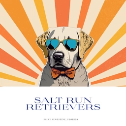 Salt Run Retrievers  puppies for sale