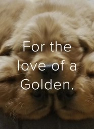 Heavenly Sunsets Golden Retrievers  puppies for sale