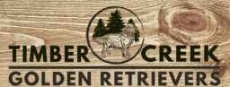 Timber Creek Golden Retrievers  puppies for sale
