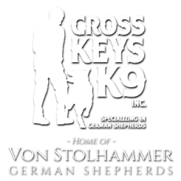 Cross Keys  puppies for sale