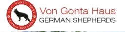 Von Gonta Haus  puppies for sale