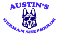 Austin&#039;s German Shepherd  puppies for sale