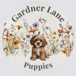 Gardner Lane Puppies  puppies for sale
