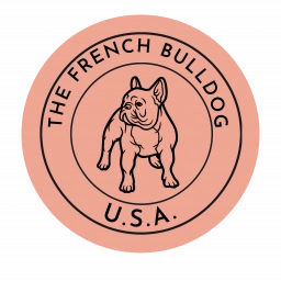 The French Bulldogs  puppies for sale