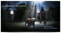 Us Castlewood Bulldogs  puppies for sale