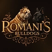 Romani&#039;s Bulldogs  puppies for sale