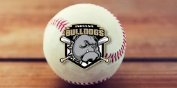 Home of the Indiana Bulldogs  puppies for sale