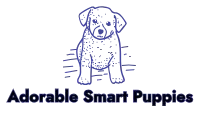 Adorable Smart Puppies  puppies for sale