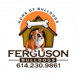 Ferguson Bulldogs LLC  puppies for sale