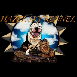 Hazel Sky Kennel  puppies for sale