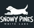 Snowy Pines White Labs  puppies for sale