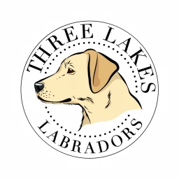 Three Lakes Labradors  puppies for sale