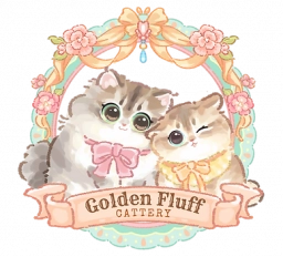 Golden Fluff  puppies for sale