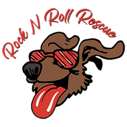 Rock N Roll Rescue  puppies for sale