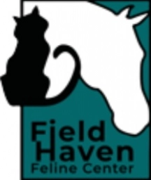 FieldHaven  puppies for sale