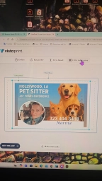 Kids Puppy Yoga Hollywood  puppies for sale