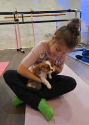 Kids Puppy Yoga Hollywood  puppies for sale