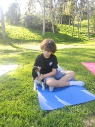 Kids Puppy Yoga Hollywood  puppies for sale