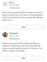 Marina Pet Sitter  puppies for sale