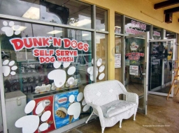 Dunk'N Dogs Dog Wash and Grooming and Pet Food and Supplies  puppies for sale