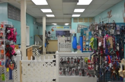 Dunk'N Dogs Dog Wash and Grooming and Pet Food and Supplies  puppies for sale