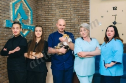 Nob Hill Cat Clinic  puppies for sale