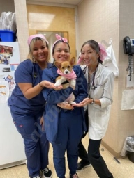 Heart of Chelsea Veterinary Group - Lower East Sid