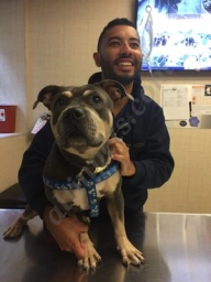 Heart of Chelsea Veterinary Group - Lower East Sid